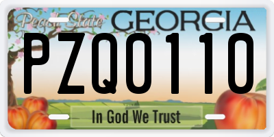 GA license plate PZQ0110