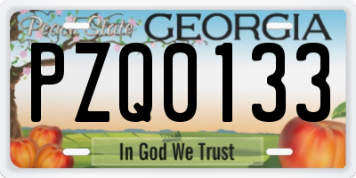GA license plate PZQ0133