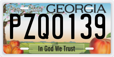 GA license plate PZQ0139