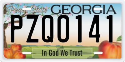 GA license plate PZQ0141