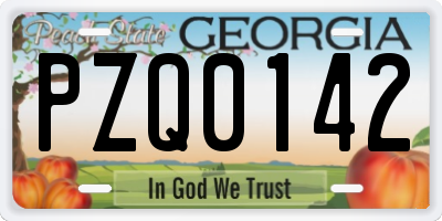 GA license plate PZQ0142