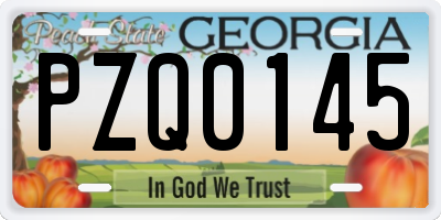 GA license plate PZQ0145
