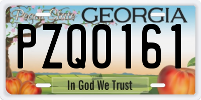 GA license plate PZQ0161