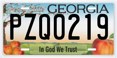 GA license plate PZQ0219