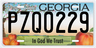 GA license plate PZQ0229