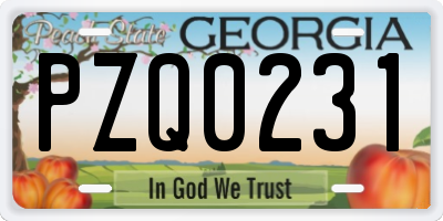 GA license plate PZQ0231