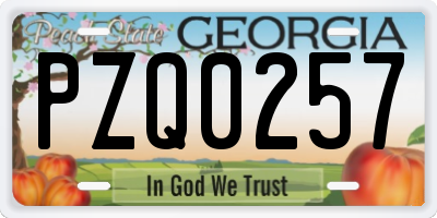 GA license plate PZQ0257