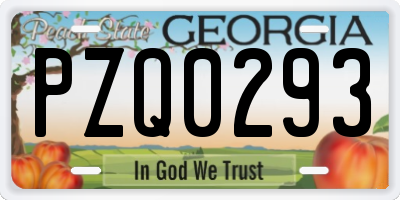 GA license plate PZQ0293