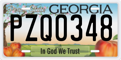 GA license plate PZQ0348