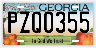 GA license plate PZQ0355