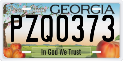 GA license plate PZQ0373