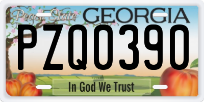 GA license plate PZQ0390