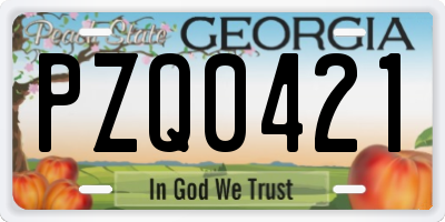 GA license plate PZQ0421