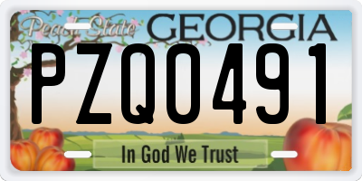GA license plate PZQ0491