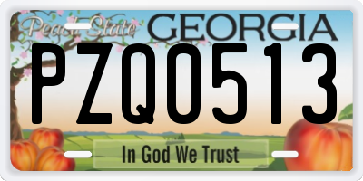 GA license plate PZQ0513