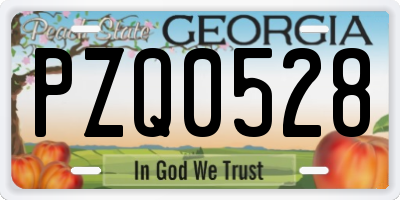 GA license plate PZQ0528