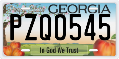GA license plate PZQ0545