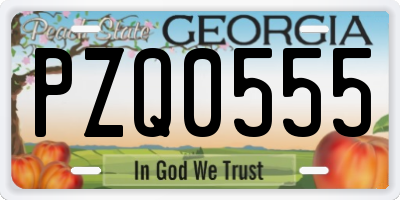 GA license plate PZQ0555