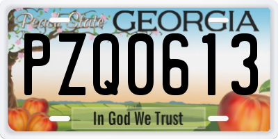 GA license plate PZQ0613