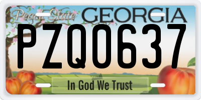 GA license plate PZQ0637