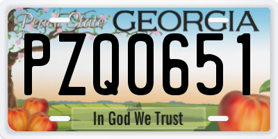 GA license plate PZQ0651