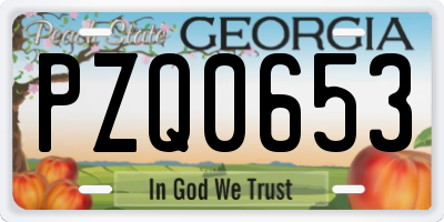 GA license plate PZQ0653