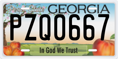 GA license plate PZQ0667