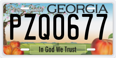 GA license plate PZQ0677