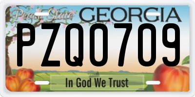GA license plate PZQ0709