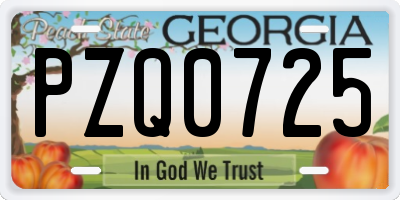 GA license plate PZQ0725