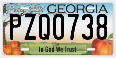 GA license plate PZQ0738