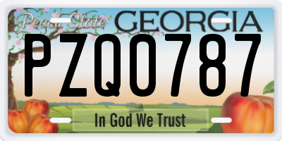 GA license plate PZQ0787