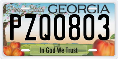 GA license plate PZQ0803