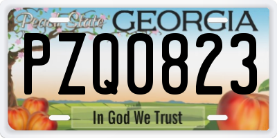 GA license plate PZQ0823