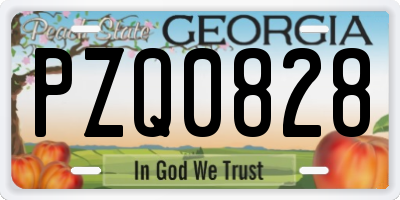 GA license plate PZQ0828