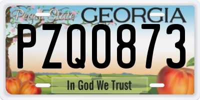 GA license plate PZQ0873
