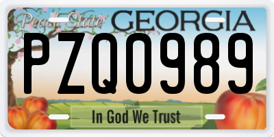 GA license plate PZQ0989