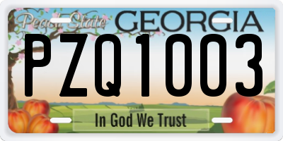 GA license plate PZQ1003