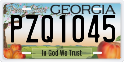 GA license plate PZQ1045
