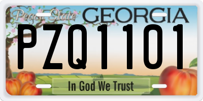 GA license plate PZQ1101