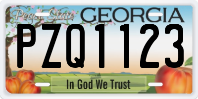 GA license plate PZQ1123