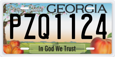 GA license plate PZQ1124