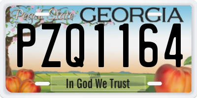 GA license plate PZQ1164
