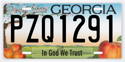GA license plate PZQ1291