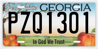 GA license plate PZQ1301