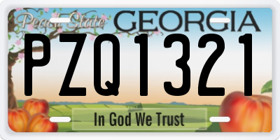 GA license plate PZQ1321