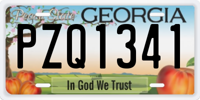 GA license plate PZQ1341