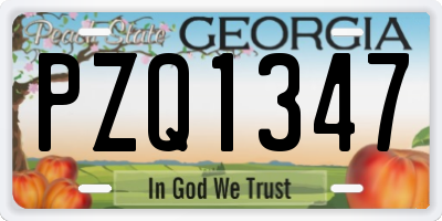 GA license plate PZQ1347