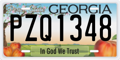 GA license plate PZQ1348