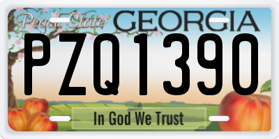 GA license plate PZQ1390